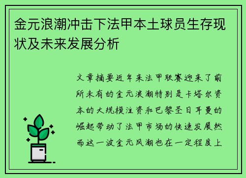 金元浪潮冲击下法甲本土球员生存现状及未来发展分析