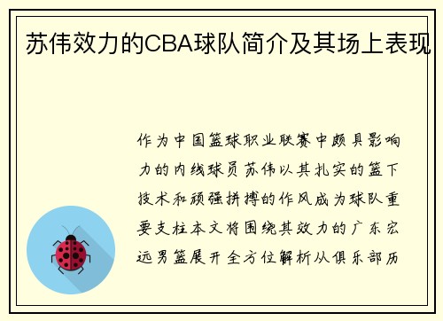苏伟效力的CBA球队简介及其场上表现