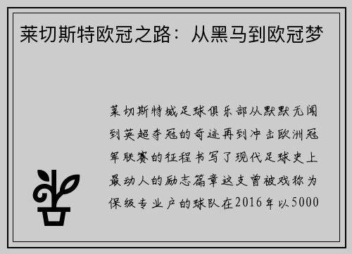 莱切斯特欧冠之路：从黑马到欧冠梦